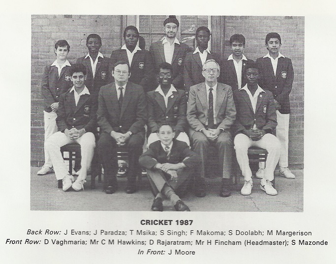1987_cricket