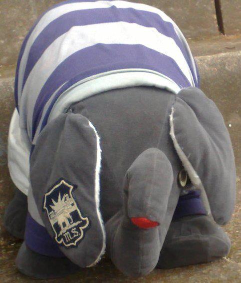 rugby_mascot_elephant